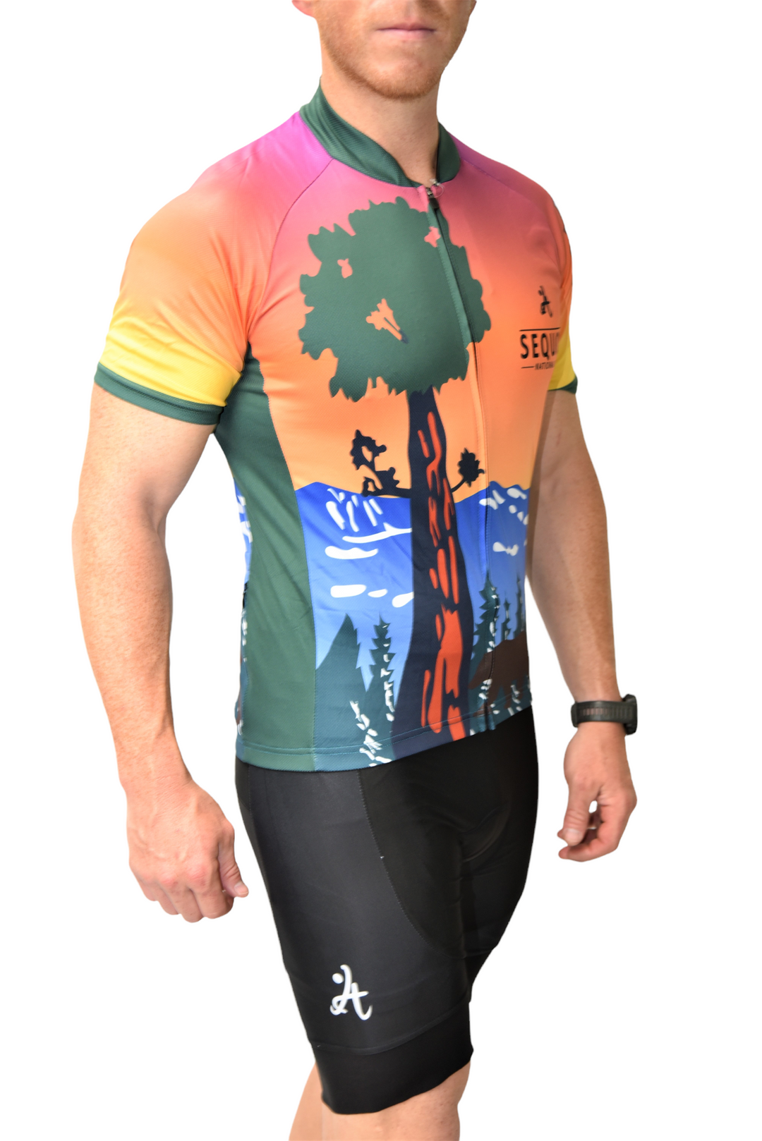 Men's Sequoia National Park Jersey